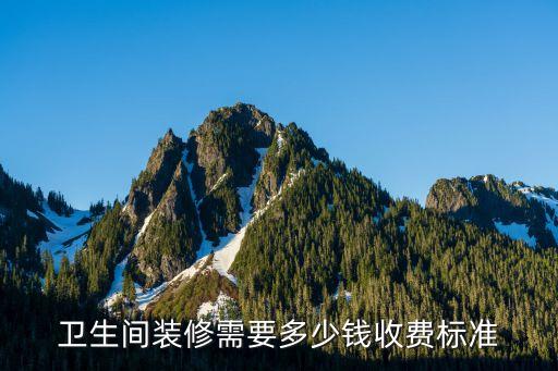 衛(wèi)生間裝修需要多少錢收費(fèi)標(biāo)準(zhǔn)