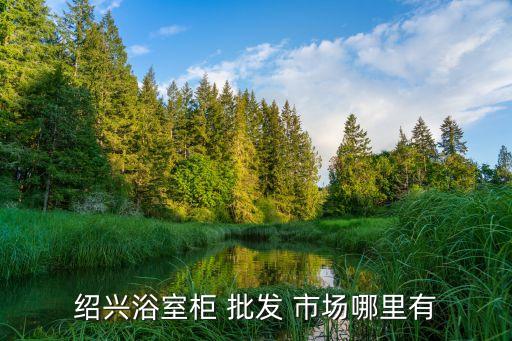 鹿邑縣衛(wèi)浴批發(fā)市場電話,佛山衛(wèi)浴批發(fā)市場