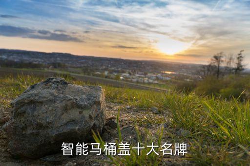 智能馬桶蓋十大名牌