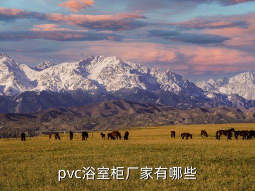 pvc浴室柜廠家有哪些