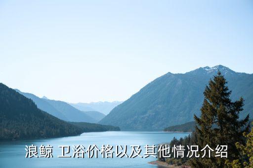 浪鯨 衛(wèi)浴價(jià)格以及其他情況介紹