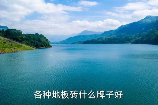 各種地板磚什么牌子好