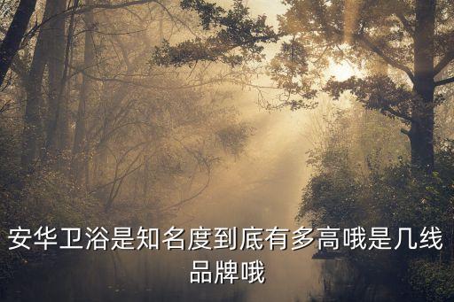 安華衛(wèi)浴是知名度到底有多高哦是幾線品牌哦