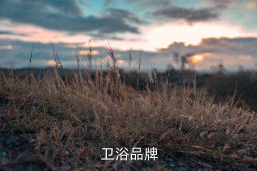  衛(wèi)浴品牌