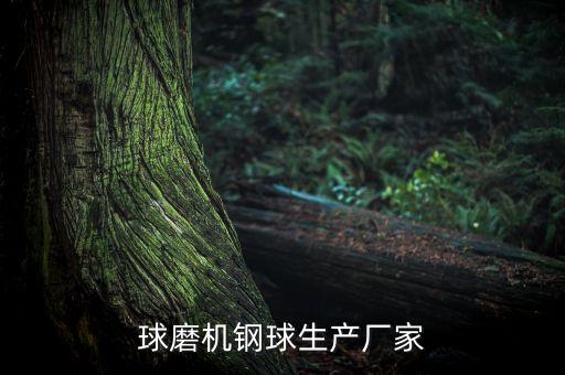 球磨機鋼球生產(chǎn)廠家