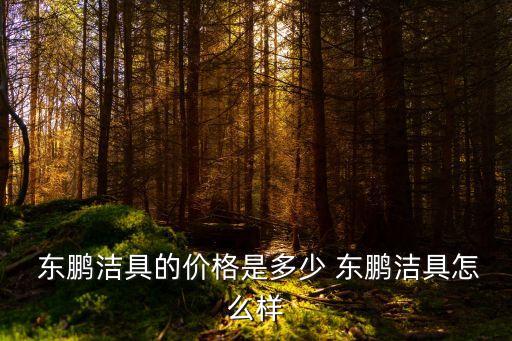  東鵬潔具的價(jià)格是多少 東鵬潔具怎么樣