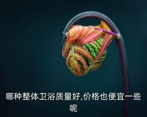哪種整體衛(wèi)浴質(zhì)量好,價格也便宜一些呢