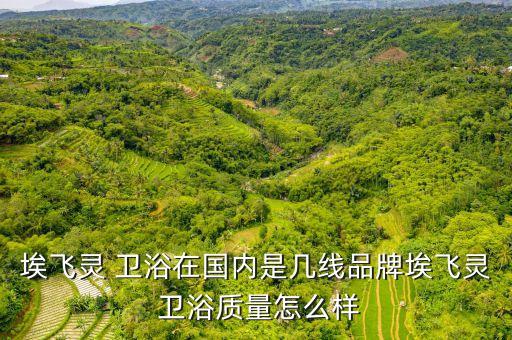 埃飛靈 衛(wèi)浴在國(guó)內(nèi)是幾線品牌埃飛靈 衛(wèi)浴質(zhì)量怎么樣