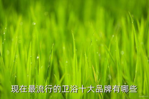 現(xiàn)在最流行的衛(wèi)浴十大品牌有哪些