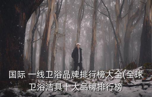 恒潔衛(wèi)衛(wèi)浴是一線品牌嗎