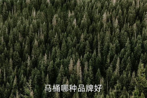 馬桶哪種品牌好