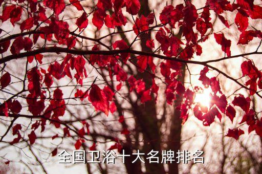 沃衛(wèi)衛(wèi)浴屬于幾線品牌