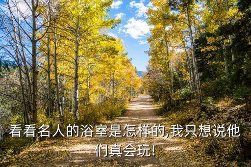 銀色衛(wèi)浴收納盒圖片