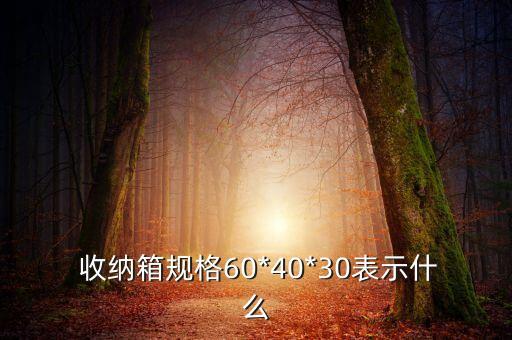 大戶型衛(wèi)浴收納箱圖片