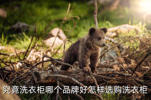 衛(wèi)浴用的什么品牌的洗衣機(jī),洗衣機(jī)什么品牌最好排名前十名