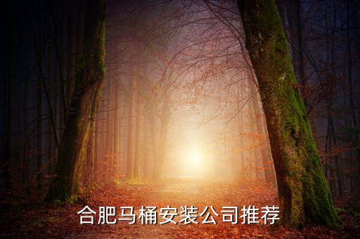 蘇州木瀆衛(wèi)浴安裝電話(huà)