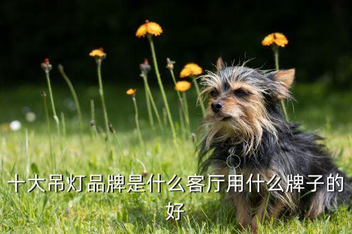 十大吊燈品牌是什么客廳用什么牌子的好