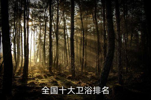 全國十大衛(wèi)浴排名