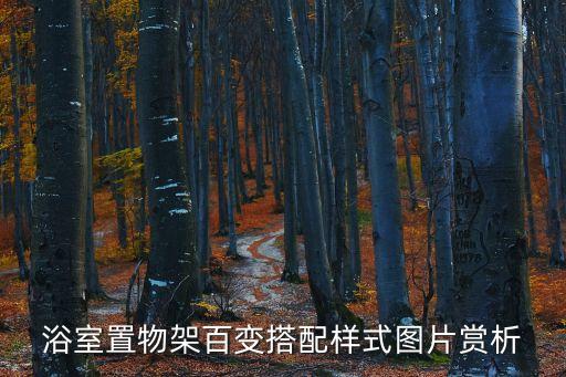 歐派衛(wèi)浴標簽圖片大全