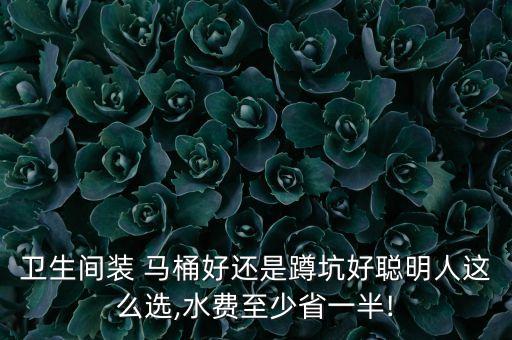 衛(wèi)生間裝 馬桶好還是蹲坑好聰明人這么選,水費至少省一半!