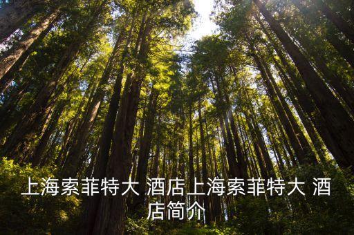 上海索菲特大 酒店上海索菲特大 酒店簡(jiǎn)介