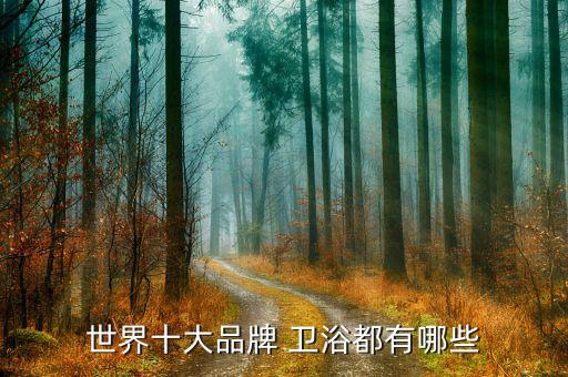 世界十大品牌 衛(wèi)浴都有哪些