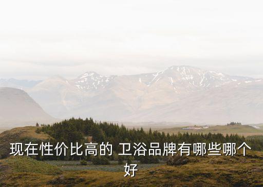 現(xiàn)在性價(jià)比高的 衛(wèi)浴品牌有哪些哪個(gè)好