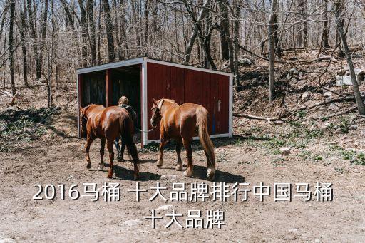 2016馬桶 十大品牌排行中國馬桶 十大品牌