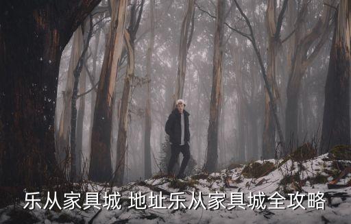 樂從家具城 地址樂從家具城全攻略