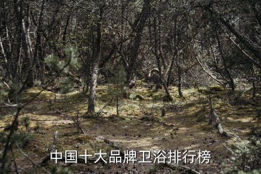 中國十大品牌衛(wèi)浴排行榜
