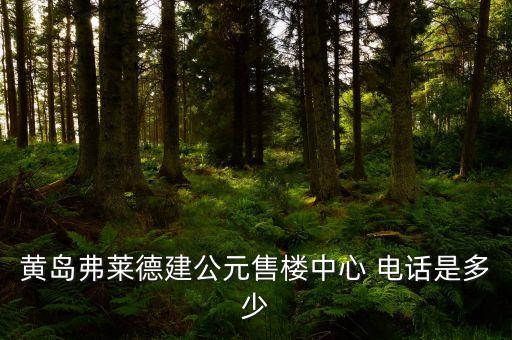 黃島弗萊德建公元售樓中心 電話是多少