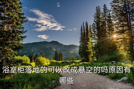 一體衛(wèi)浴柜開門方向圖片