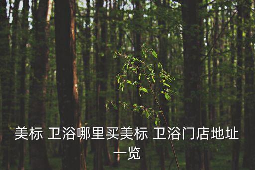 美標(biāo) 衛(wèi)浴哪里買美標(biāo) 衛(wèi)浴門店地址一覽