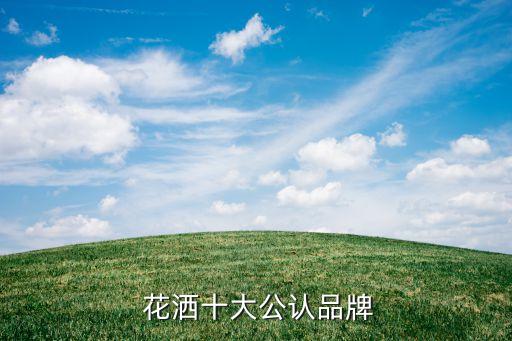  花灑十大公認品牌