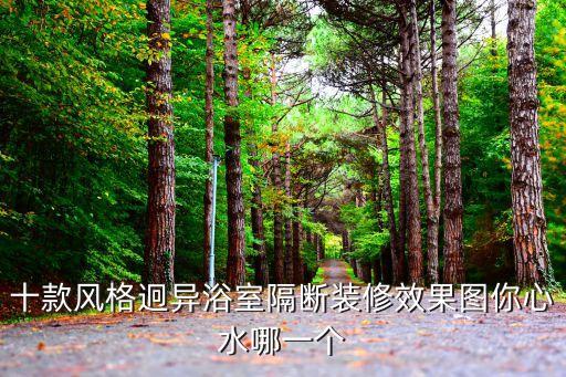 十款風(fēng)格迥異浴室隔斷裝修效果圖你心水哪一個(gè)