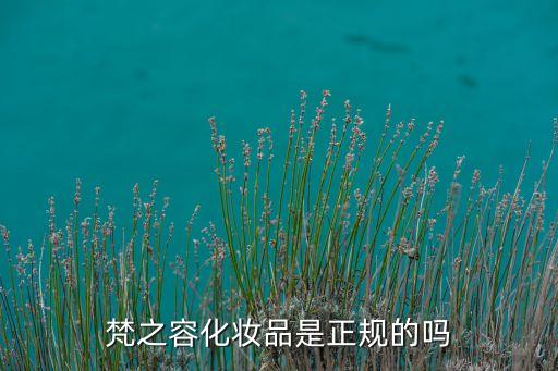 梵之容化妝品是正規(guī)的嗎