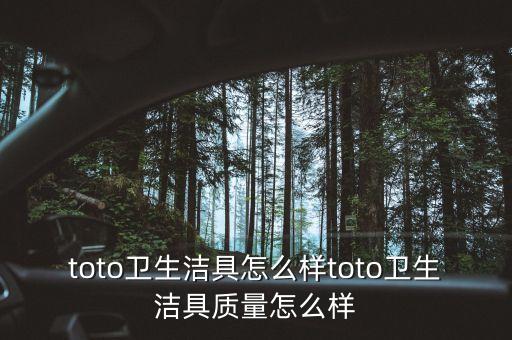 衡水賣TOTO衛(wèi)浴f電話多少,TOTO衛(wèi)浴廠家電話