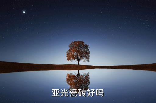 衛(wèi)浴啞光磚效果圖片大全