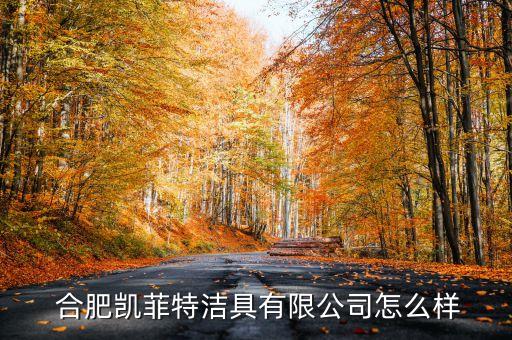  合肥凱菲特潔具有限公司怎么樣