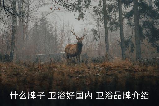 朝陽衛(wèi)浴售后電話是多少,金牌衛(wèi)浴售后電話