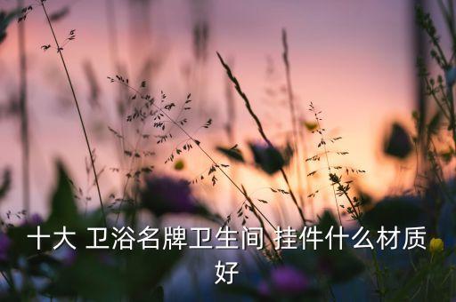十大 衛(wèi)浴名牌衛(wèi)生間 掛件什么材質(zhì)好