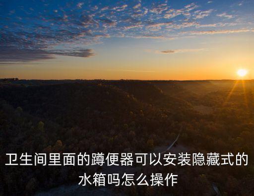 衛(wèi)生間里面的蹲便器可以安裝隱藏式的 水箱嗎怎么操作