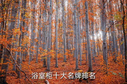 浴室柜十大名牌排名