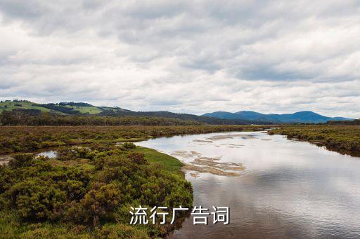 流行廣告詞