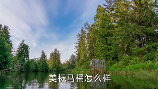  美標馬桶怎么樣