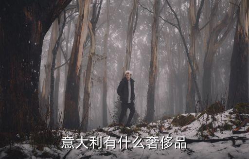 意大利有什么奢侈品