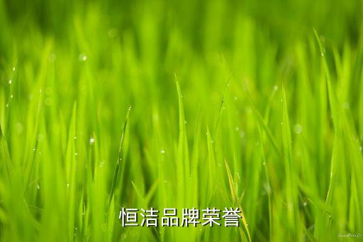 恒潔品牌榮譽(yù)