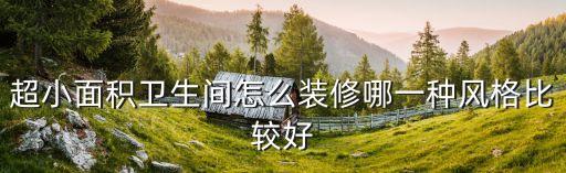 小尺寸衛(wèi)浴擺布圖片大全集...
