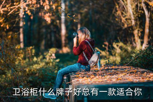 衛(wèi)浴柜什么牌子好總有一款適合你