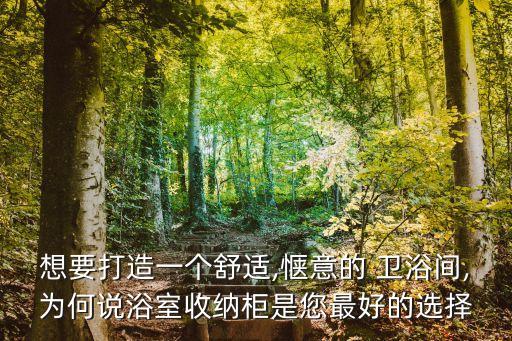 想要打造一個舒適,愜意的 衛(wèi)浴間,為何說浴室收納柜是您最好的選擇